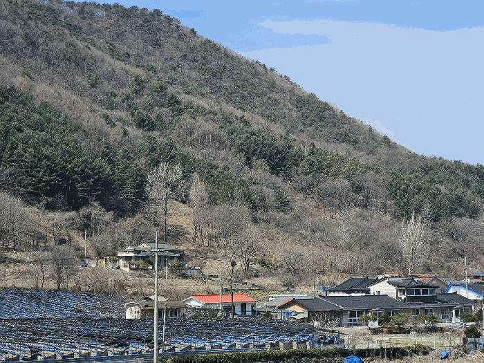 충청남도 금산군 진산면 묵산리 산77-1 임야 경매 사진 35