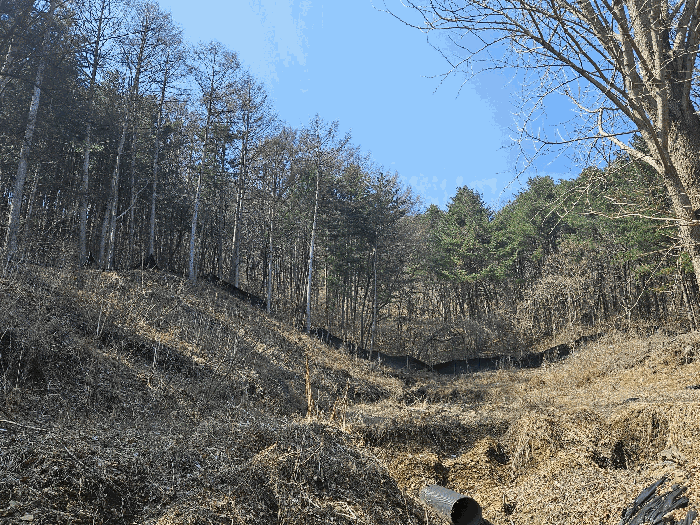 충청남도 금산군 진산면 묵산리 산77-1 임야 경매 사진 36