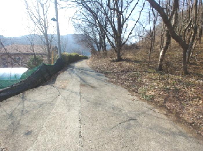 충청남도 금산군 진산면 묵산리 산77-1 임야 경매 사진 21