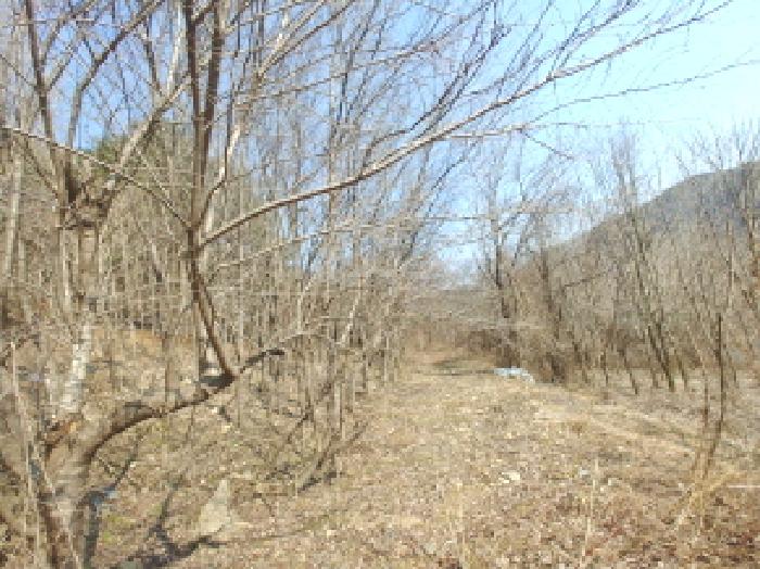 충청남도 금산군 진산면 묵산리 산77-1 임야 경매 사진 24
