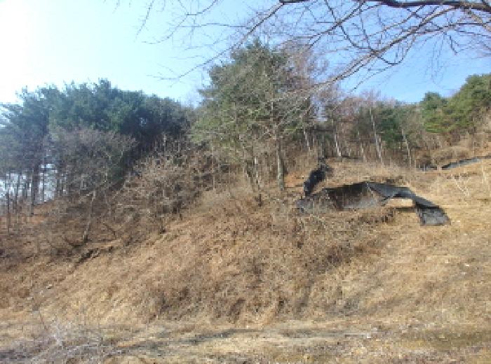 충청남도 금산군 진산면 묵산리 산77-1 임야 경매 사진 26