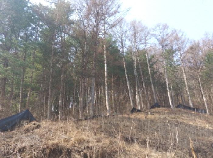 충청남도 금산군 진산면 묵산리 산77-1 임야 경매 사진 27