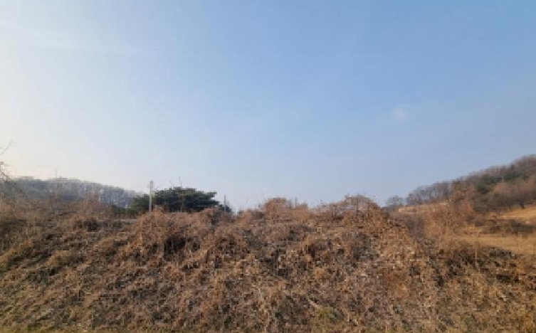 세종특별자치시 장군면 봉안리 576 외 5필지 답 경매 사진 11