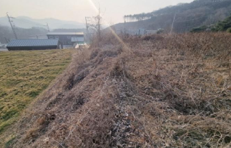 세종특별자치시 장군면 봉안리 576 외 5필지 답 경매 사진 12