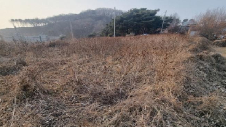 세종특별자치시 장군면 봉안리 576 외 5필지 답 경매 사진 13