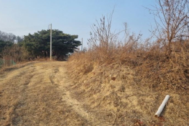 세종특별자치시 장군면 봉안리 576 외 5필지 답 경매 사진 7