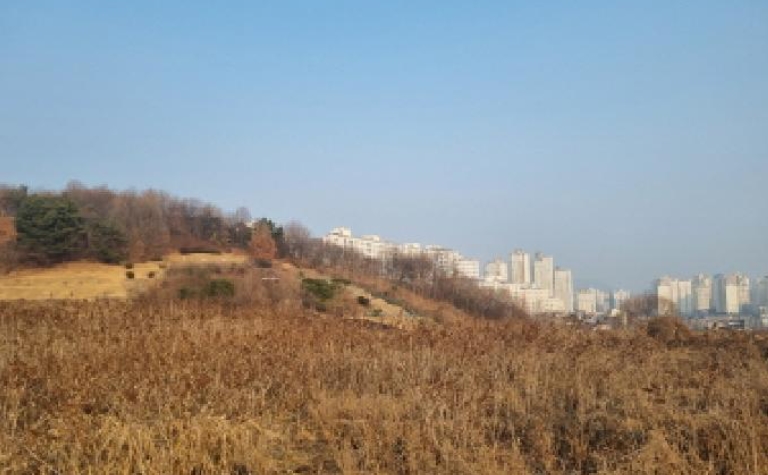 세종특별자치시 장군면 봉안리 576 외 5필지 답 경매 사진 9