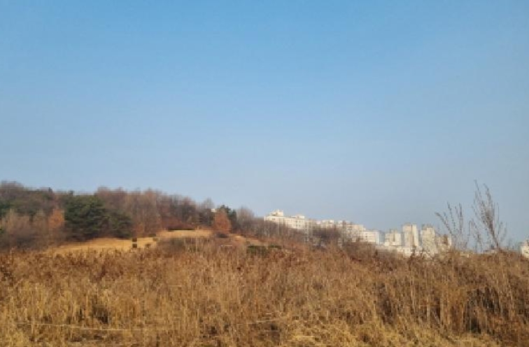 세종특별자치시 장군면 봉안리 576 외 5필지 답 경매 사진 10