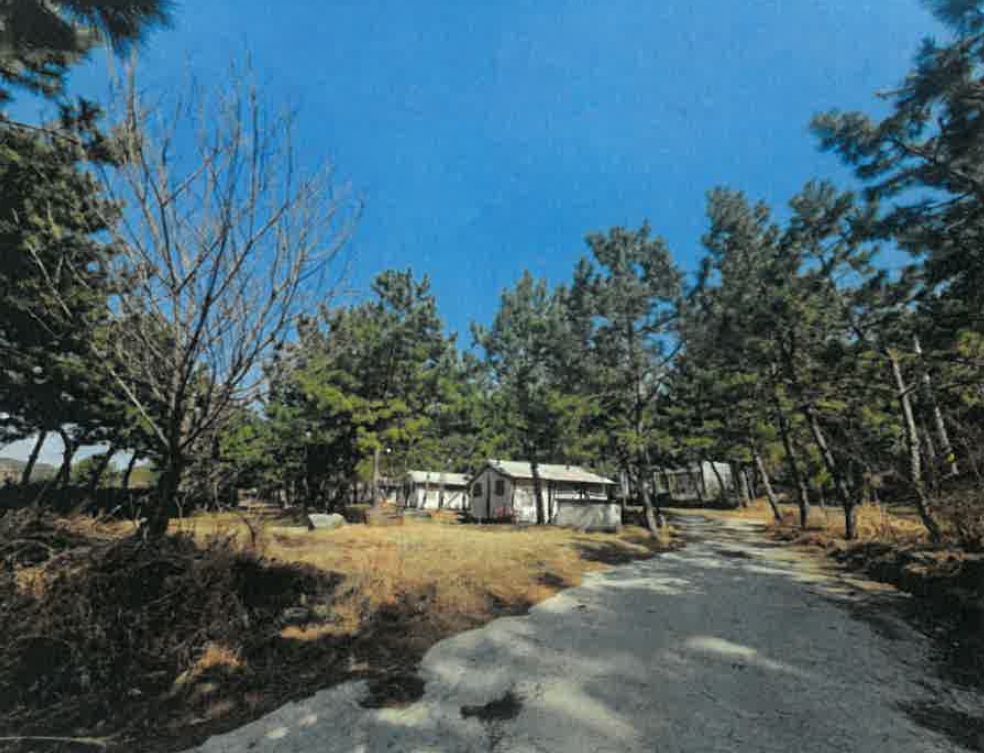 충청남도 서천군 서면 월호리 78-1 외 1필지 근린생활시설 경매 사진 1