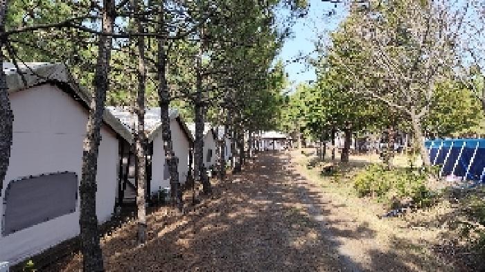 충청남도 서천군 서면 월호리 78-1 외 1필지 근린생활시설 경매 사진 24