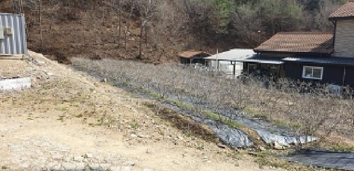 충청남도 예산군 대흥면 대률리 산53-2 외 6필지 임야 경매 사진 12