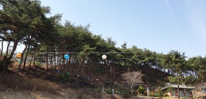 충청남도 예산군 대흥면 대률리 산53-2 외 6필지 임야 경매 사진 13