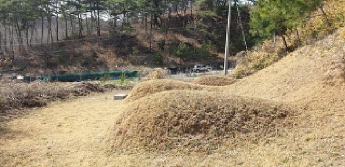 충청남도 예산군 대흥면 대률리 산53-2 외 6필지 임야 경매 사진 14