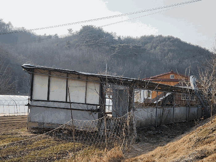 충청남도 예산군 대흥면 대률리 산53-2 외 6필지 임야 경매 사진 34