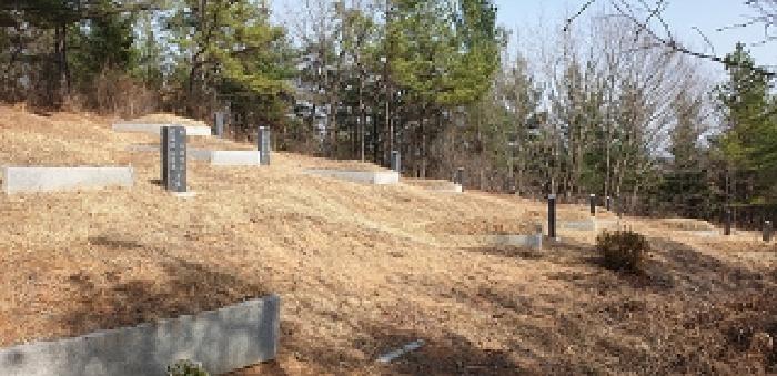 충청남도 예산군 대흥면 대률리 산53-2 외 6필지 임야 경매 사진 5