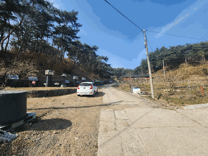 충청남도 예산군 대흥면 대률리 산53-2 외 6필지 임야 경매 사진 41