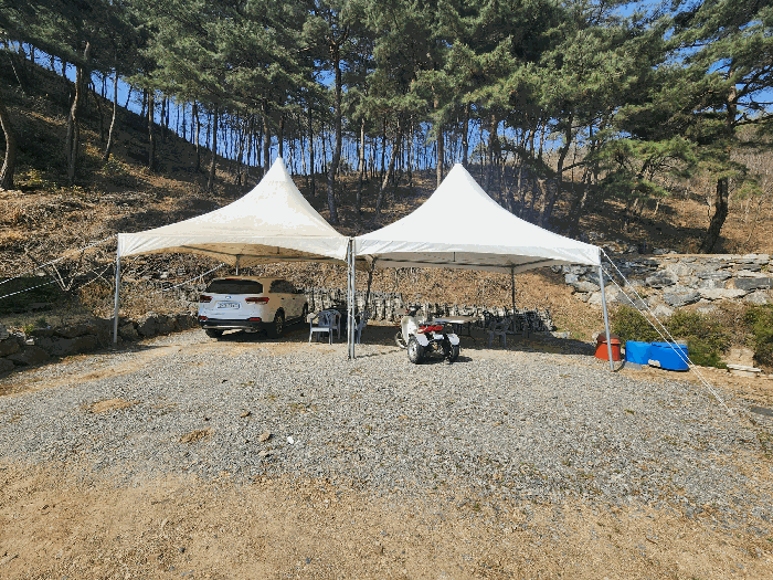 충청남도 예산군 대흥면 대률리 산53-2 외 6필지 임야 경매 사진 42