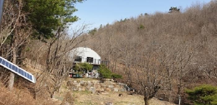 충청남도 예산군 대흥면 대률리 산53-2 외 6필지 임야 경매 사진 6