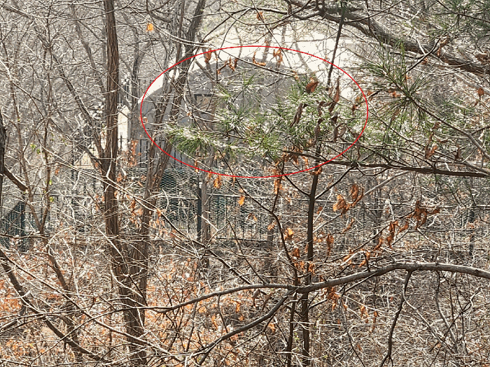 충청남도 예산군 대흥면 대률리 산53-2 외 6필지 임야 경매 사진 52
