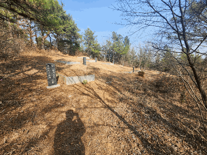 충청남도 예산군 대흥면 대률리 산53-2 외 6필지 임야 경매 사진 53