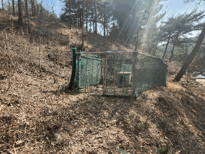 충청남도 예산군 대흥면 대률리 산53-2 외 6필지 임야 경매 사진 55