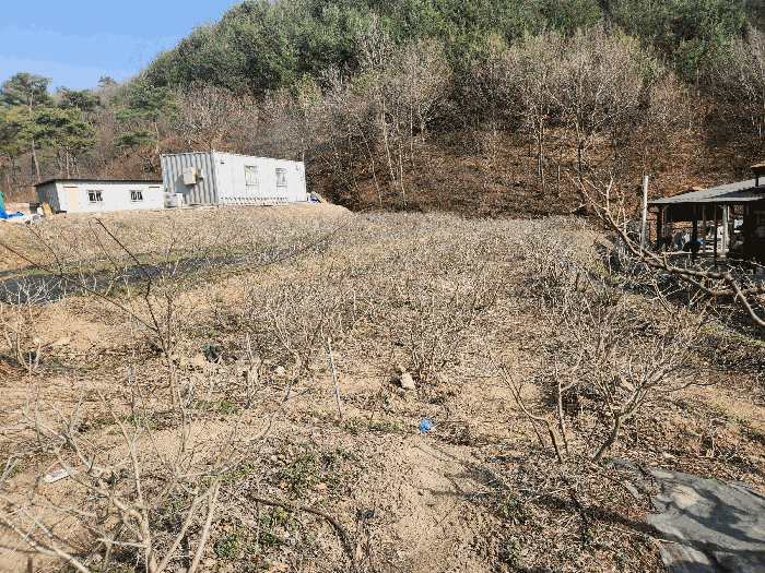 충청남도 예산군 대흥면 대률리 산53-2 외 6필지 임야 경매 사진 58