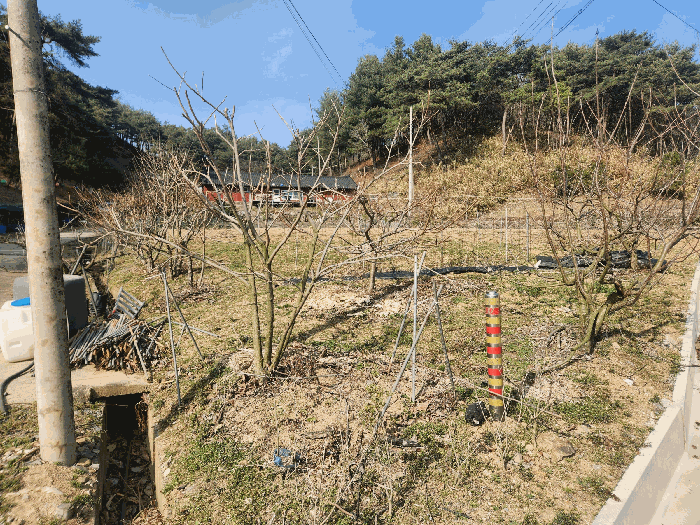 충청남도 예산군 대흥면 대률리 산53-2 외 6필지 임야 경매 사진 60