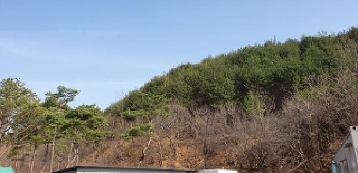 충청남도 예산군 대흥면 대률리 산53-2 외 6필지 임야 경매 사진 7