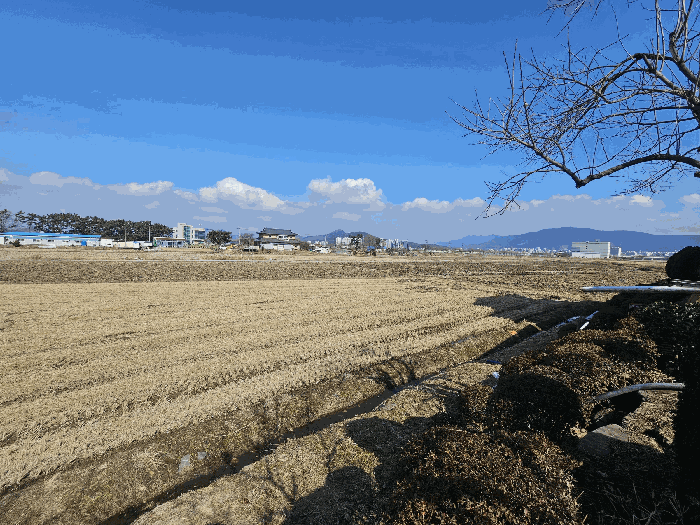 충청남도 보령시 내항동 917-10 외 2필지 대지 경매 사진 9