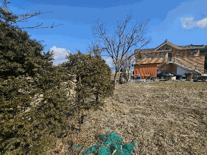 충청남도 보령시 내항동 917-10 외 2필지 대지 경매 사진 10