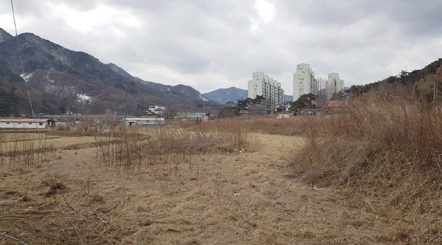 충청남도 예산군 덕산면 시량리 430 답 경매 사진 13