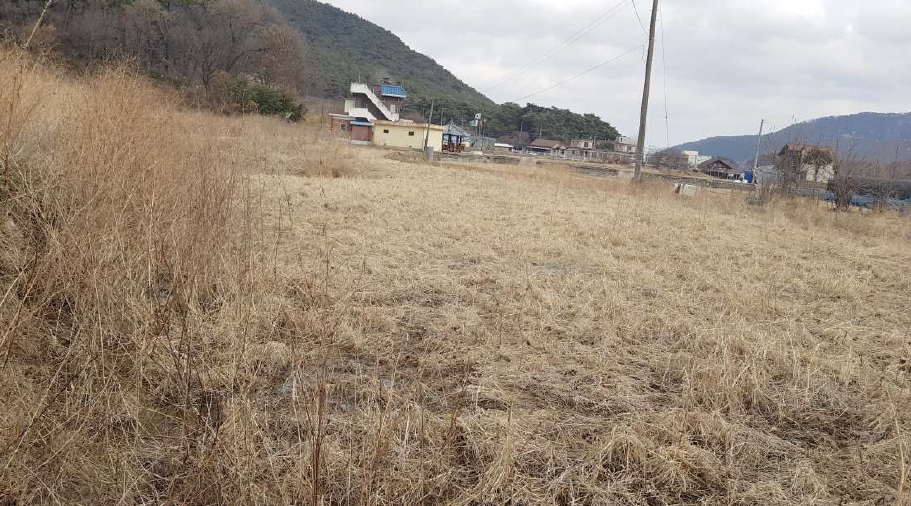충청남도 예산군 덕산면 시량리 430 답 경매 사진 14