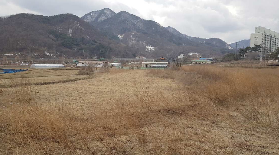 충청남도 예산군 덕산면 시량리 430 답 경매 사진 15