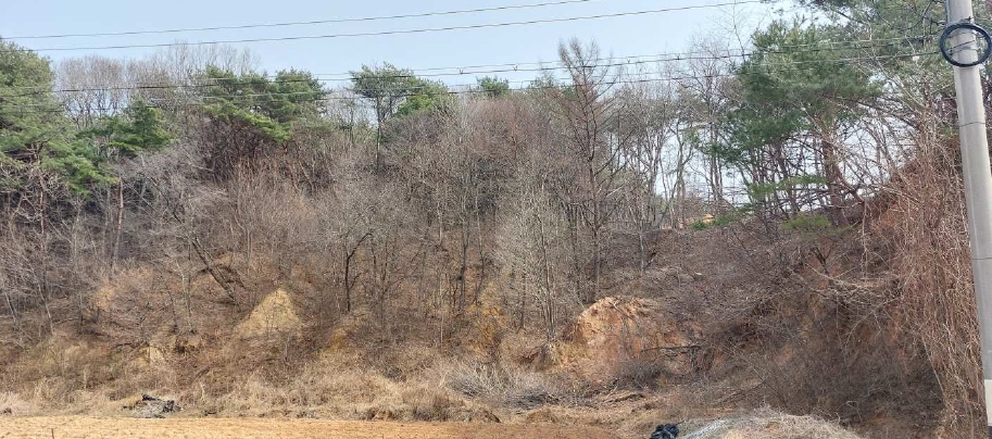 충청남도 보령시 천북면 낙동리 1021-6 외 3필지 임야 경매 사진 2