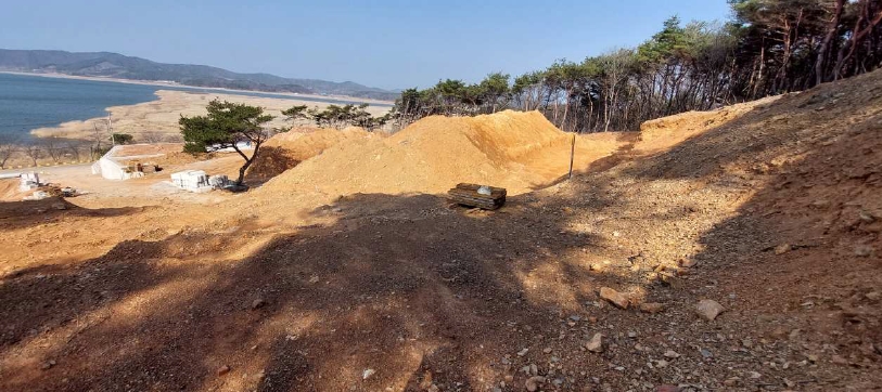 충청남도 보령시 천북면 낙동리 1021-6 외 3필지 임야 경매 사진 5
