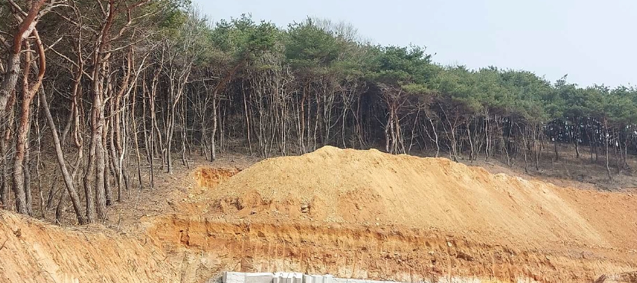 충청남도 보령시 천북면 낙동리 1021-6 외 3필지 임야 경매 사진 10