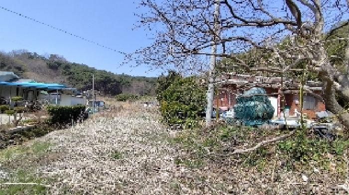 충청남도 보령시 주교면 주교리 402 전 경매 사진 1