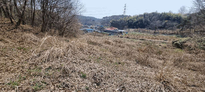 충청남도 보령시 주교면 주교리 402 전 경매 사진 3