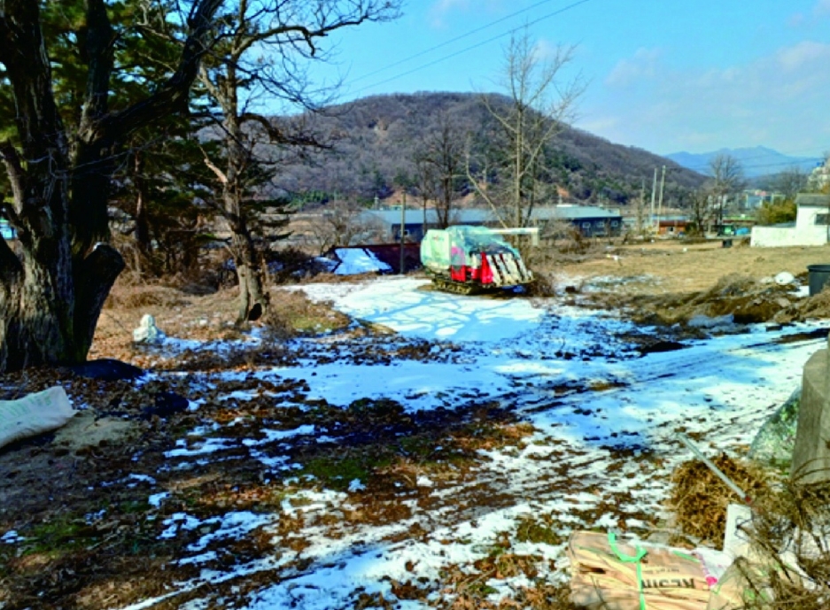 충청남도 논산시 연산면 송정리 49 대지 경매 사진 2