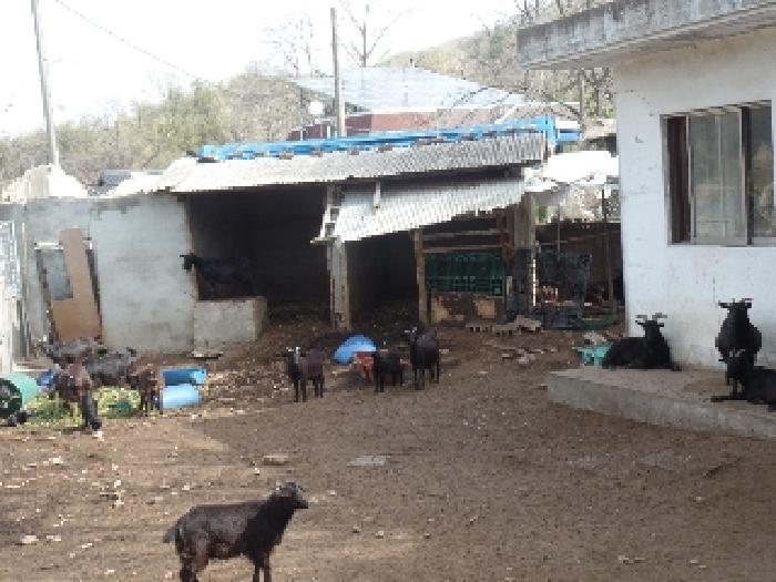 충청남도 논산시 연산면 송정리 49 대지 경매 사진 11