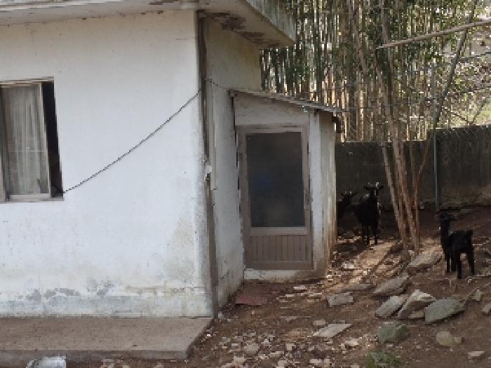 충청남도 논산시 연산면 송정리 49 대지 경매 사진 12