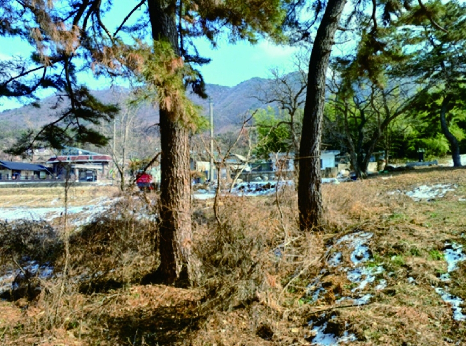 충청남도 논산시 연산면 송정리 49 대지 경매 사진 3