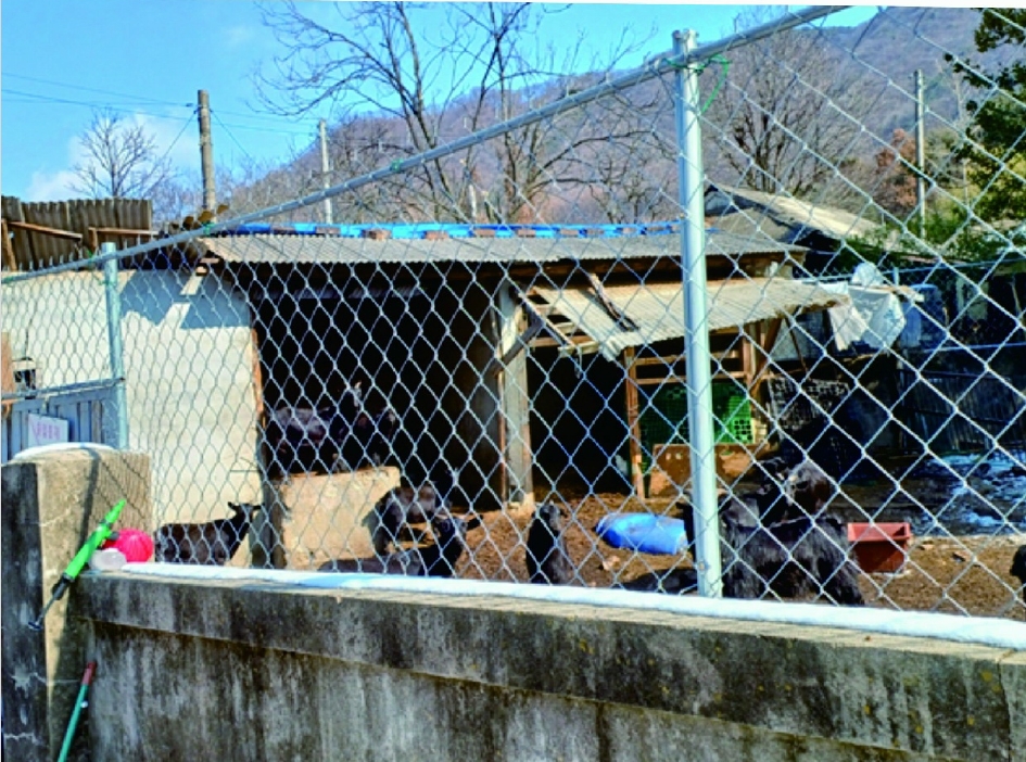 충청남도 논산시 연산면 송정리 49 대지 경매 사진 6
