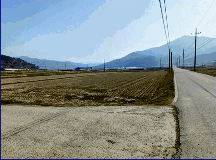 충청남도 부여군 외산면 복덕리 249-1 답 경매 사진 3