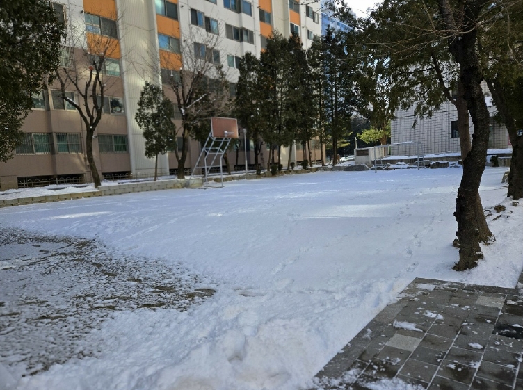 충남 천안시 서북구 쌍용동 652, 305동 17층1703호 (쌍용동,일성아파트) 아파트 경매 사진 8