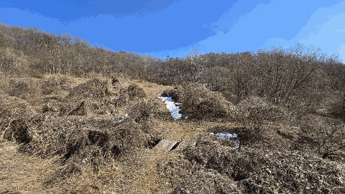 충청남도 천안시 동남구 북면 납안리 121-1 전 경매 사진 11