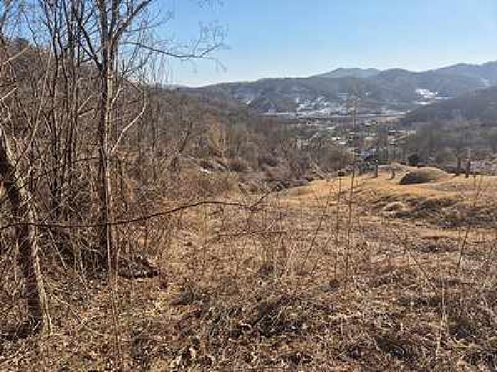 충청남도 천안시 동남구 북면 납안리 121-1 전 경매 사진 5