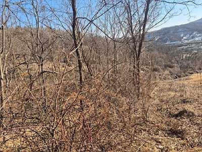 충청남도 천안시 동남구 북면 납안리 121-1 전 경매 사진 6