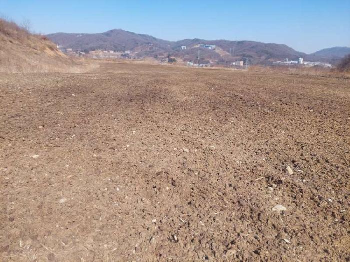 충청남도 아산시 음봉면 동암리 336 외 24필지 답 경매 사진 18