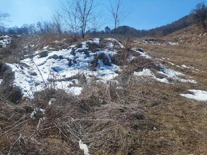 충청남도 아산시 음봉면 동암리 336 외 24필지 답 경매 사진 34